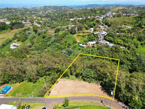 St. 809 CEDRO ARRIBA SECTOR SANTA TERESITA II 2 NARANJITO  00719