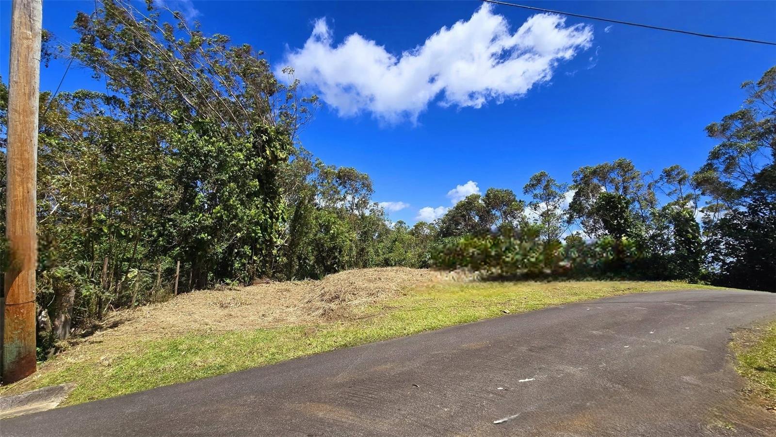 St. 809 CEDRO ARRIBA SECTOR SANTA TERESITA II 2