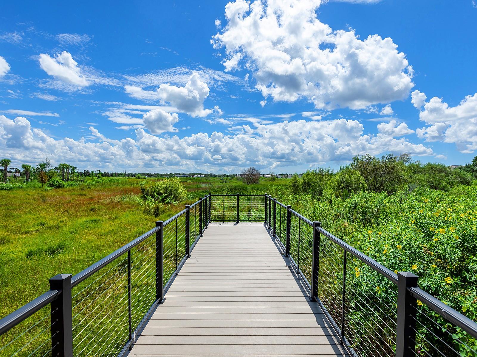 WILD BLUE AT WATERSIDE - Residential