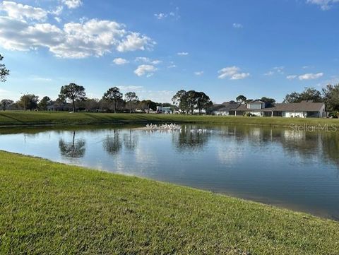 A home in KISSIMMEE