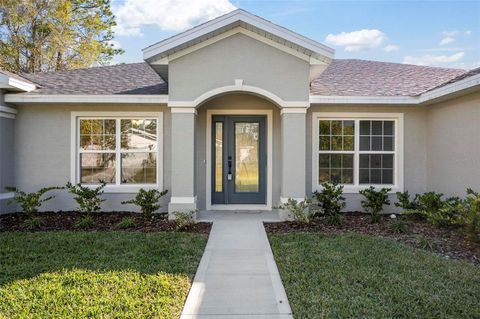 A home in PALM COAST