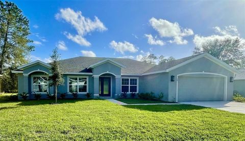 A home in PALM COAST