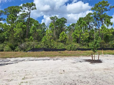 A home in PUNTA GORDA