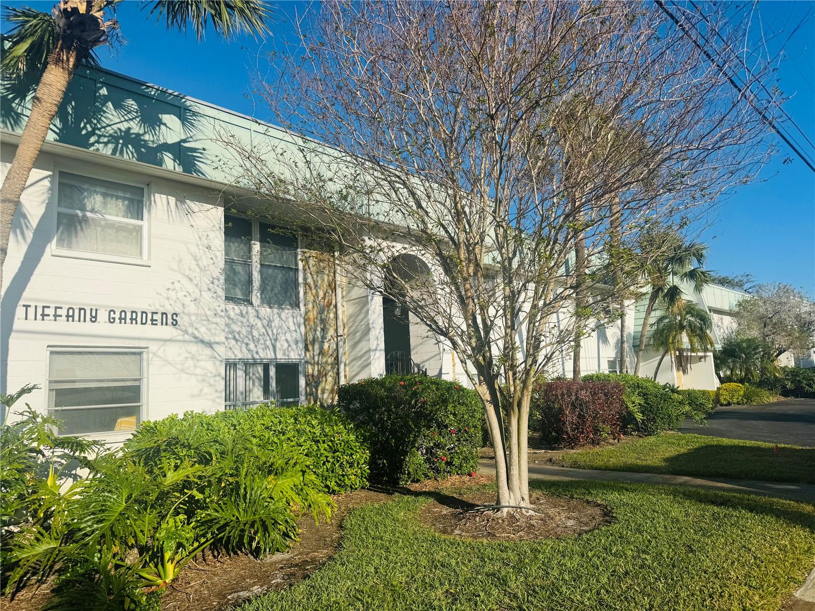 NEW PRICE, BRING ALL OFFERS! Great buy to renovate and make your own! This one bedroom, one bath condo at Tiffany Gardens is high and dry, with an exceptional location in central St. Petersburg. Second floor walk up unit has a nice screened front porch, storage closet, open kitchen and dining, large living room, and spacious bedroom with both walk in and built in closets. Tiffany Gardens is a quiet, 55+ complex with shared laundry facilities and a beautiful interior yard and garden. Comes with one deeded parking spot close to the condo, plus many visitor spots are available for use. Sold AS-IS to CASH buyers only, seller will not be making any repairs or warranties. Make your appointment for a private showing today!