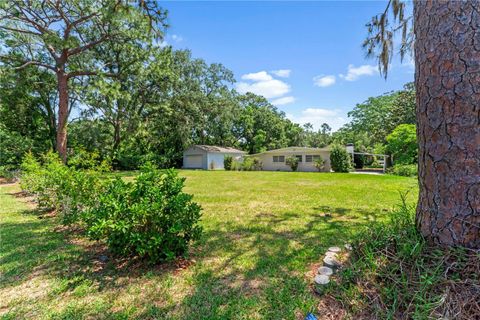 A home in TAMPA