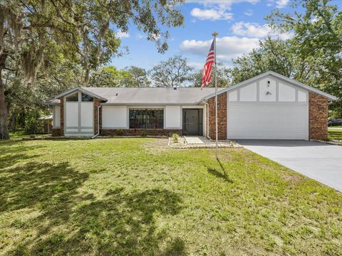 2404 KNOLL DRIVE SPRING HILL FL 34608