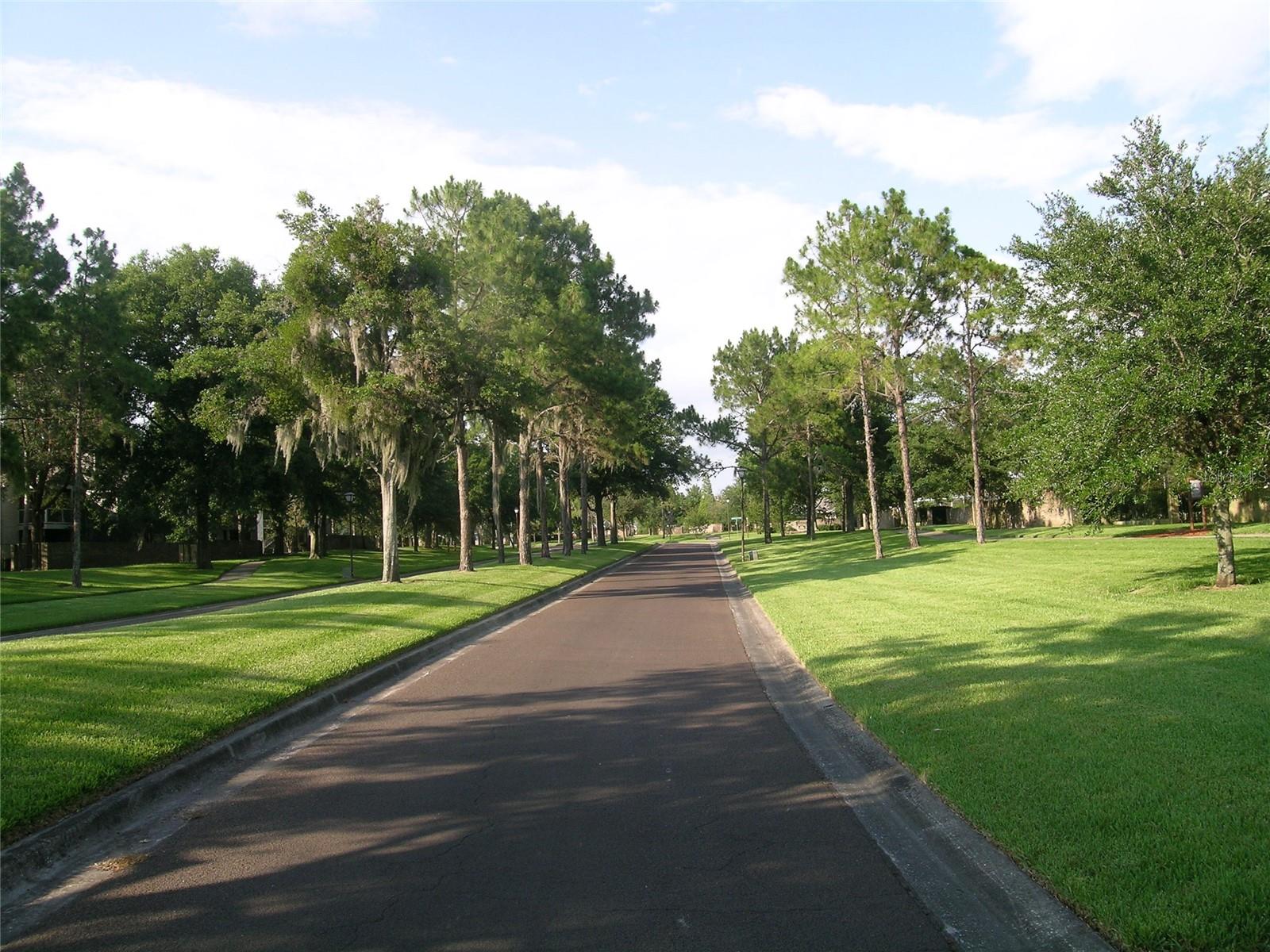 BRIDGEFIELD SUB - Residential