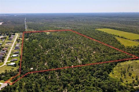17050 BURNT STORE ROAD PUNTA GORDA FL 33955