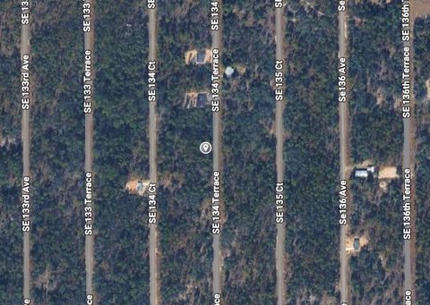 SE 134TH COURT DUNNELLON FL 34431