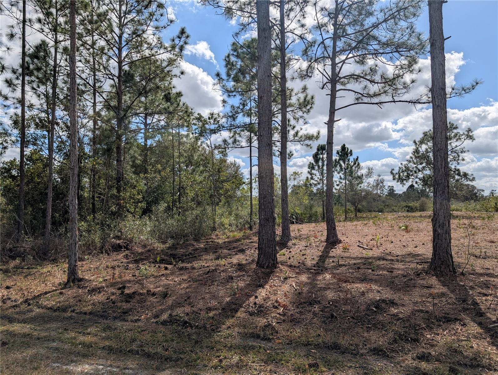 INDIAN LAKE ESTATES - Land