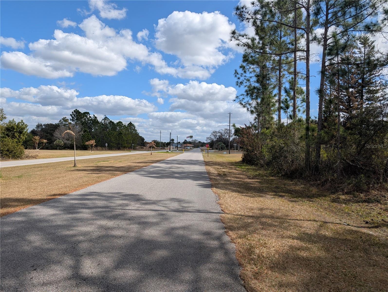 INDIAN LAKE ESTATES - Land