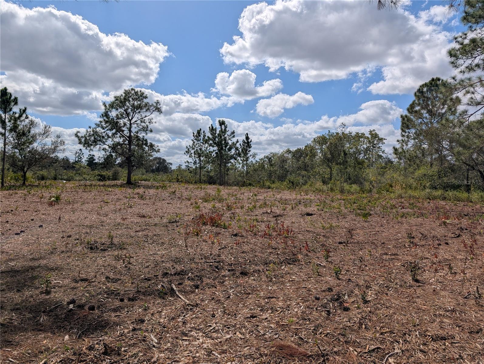 INDIAN LAKE ESTATES - Land