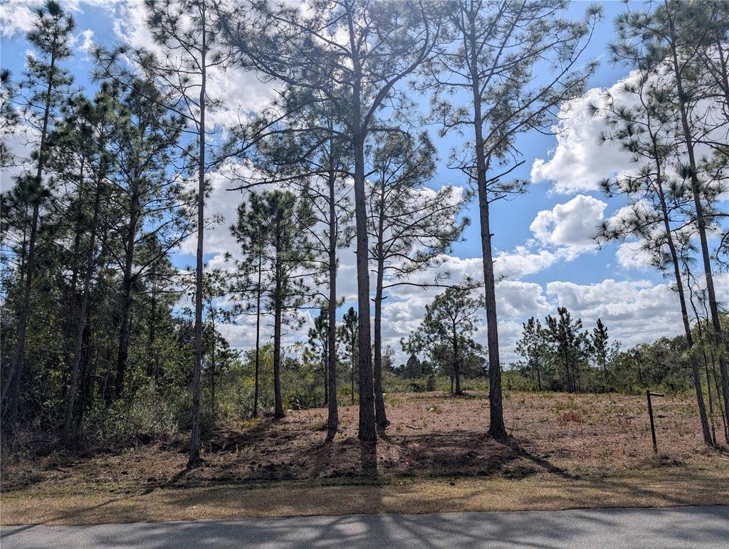 Photo of 5 Park Avenue, Indian Lake Estates, FL 33855 (MLS # P4937884)