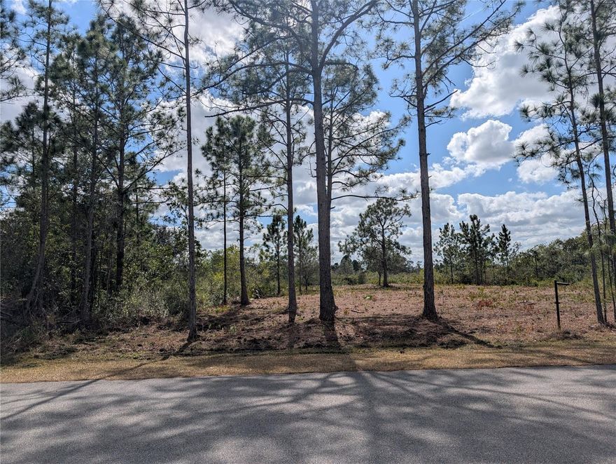 Cleared and ready for your dream home, this exceptional 1/2 acre lot in Indian Lake Estates is a fantastic opportunity!  – Prime Location on a Great Street! Discover the perfect place to build your dream home in the highly sought-after Indian Lake Estates! Situated on one of the best streets in the community, this beautiful half-acre lot offers access to the community water system (no well required) and nearby electric service—making it ready for your custom build....Indian Lake Estates is a unique lake and golf community nestled about 20 miles east of Lake Wales in Central Florida. Centered around the stunning 7,500-acre Lake Walk-In-Water—renowned statewide and nationally for world-class bass fishing—this neighborhood is a true hidden gem. Residents enjoy exclusive lake access including a beach, boat ramp, marina, and the longest freshwater fishing pier in Florida. The lakeside pavilion offers propane grills and covered picnic areas for relaxing afternoons by the water....The community boasts impressive amenities including: An 18-hole golf course; Basketball and tennis courts; A 23,000 sq.ft. clubhouse with restaurant; Library, churches, post office, and fitness room, Pro shop and more...Nature lovers will appreciate the abundant wildlife, including deer, turkey, cranes, and a wide array of birds. Enjoy the peaceful country atmosphere with easy access to modern conveniences...Perfectly located just over an hour to Orlando, Disney World, and Tampa; Close to Bok Tower Gardens (National Historic Landmark), Minutes from Westgate River Ranch Resort, a 1,700-acre dude ranch with rodeos, airboat rides, horseback riding, glamping, and more...Whether you’re looking to build your forever home, a seasonal getaway, or an investment property, Indian Lake Estates offers an incredible lifestyle surrounded by nature, recreation, and charm. Come explore Polk County’s best-kept secret—Indian Lake Estates!