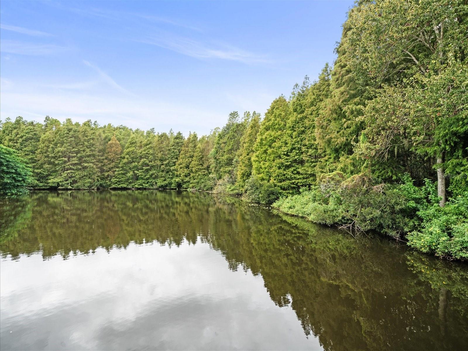 CHEVAL - Residential