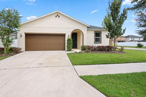 Photo of 10628 Massimo Drive, Wimauma, FL 33598 (MLS # TB8451783)