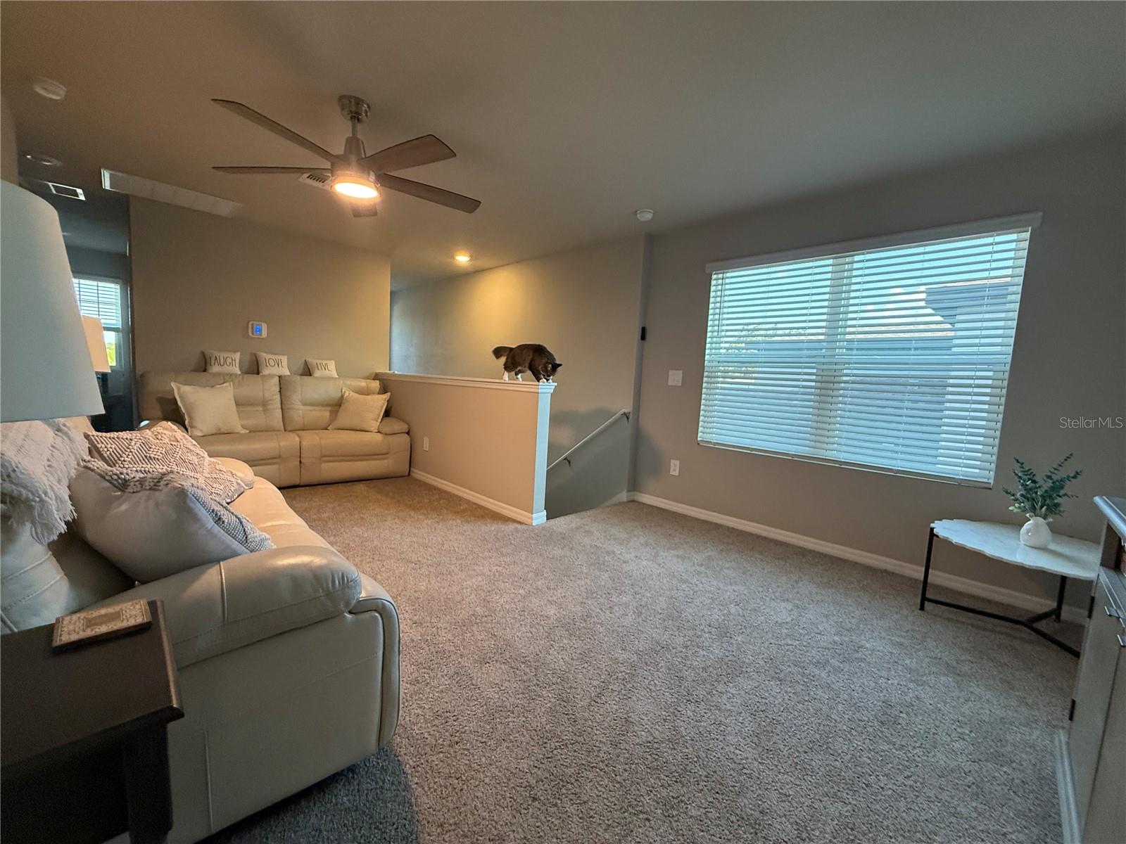 PARK EAST PH 1B 2 3A & 3B - Residential Lease