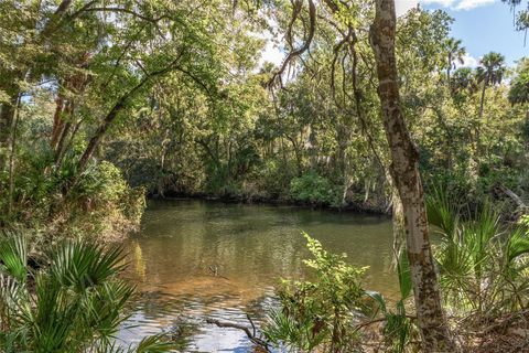 Tiny photo for 90 Winding River Lane, Inglis, FL 34449 (MLS # OM712665)
