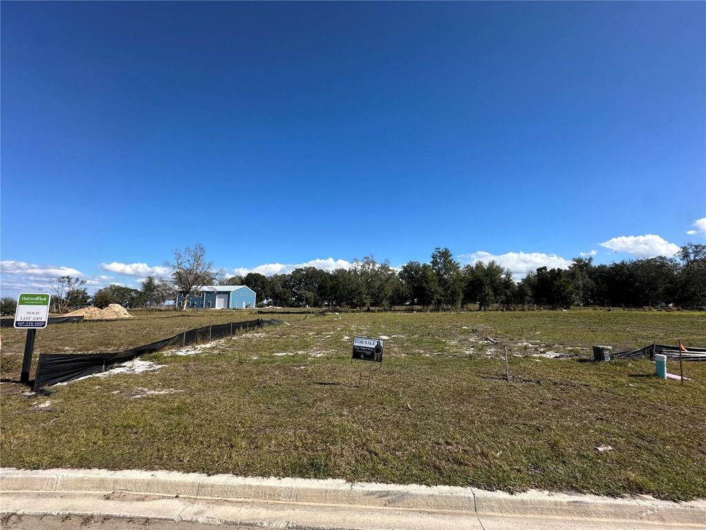 Photo of 1227 Ridge Lake Way, Oakland, FL 34787 (MLS # O6376717)
