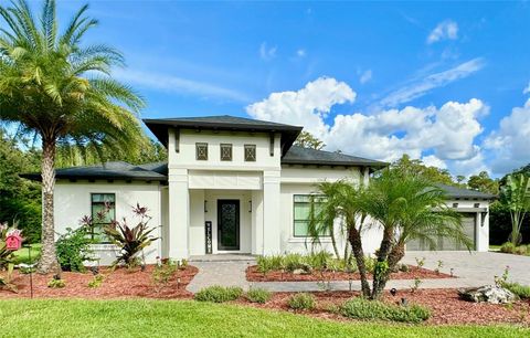 A home in LAND O LAKES