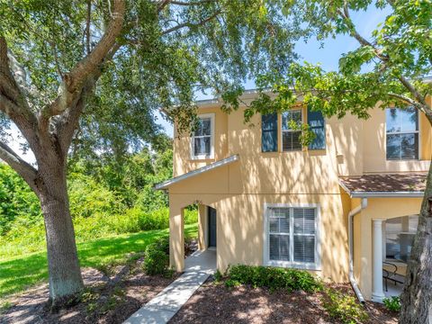 A home in RIVERVIEW