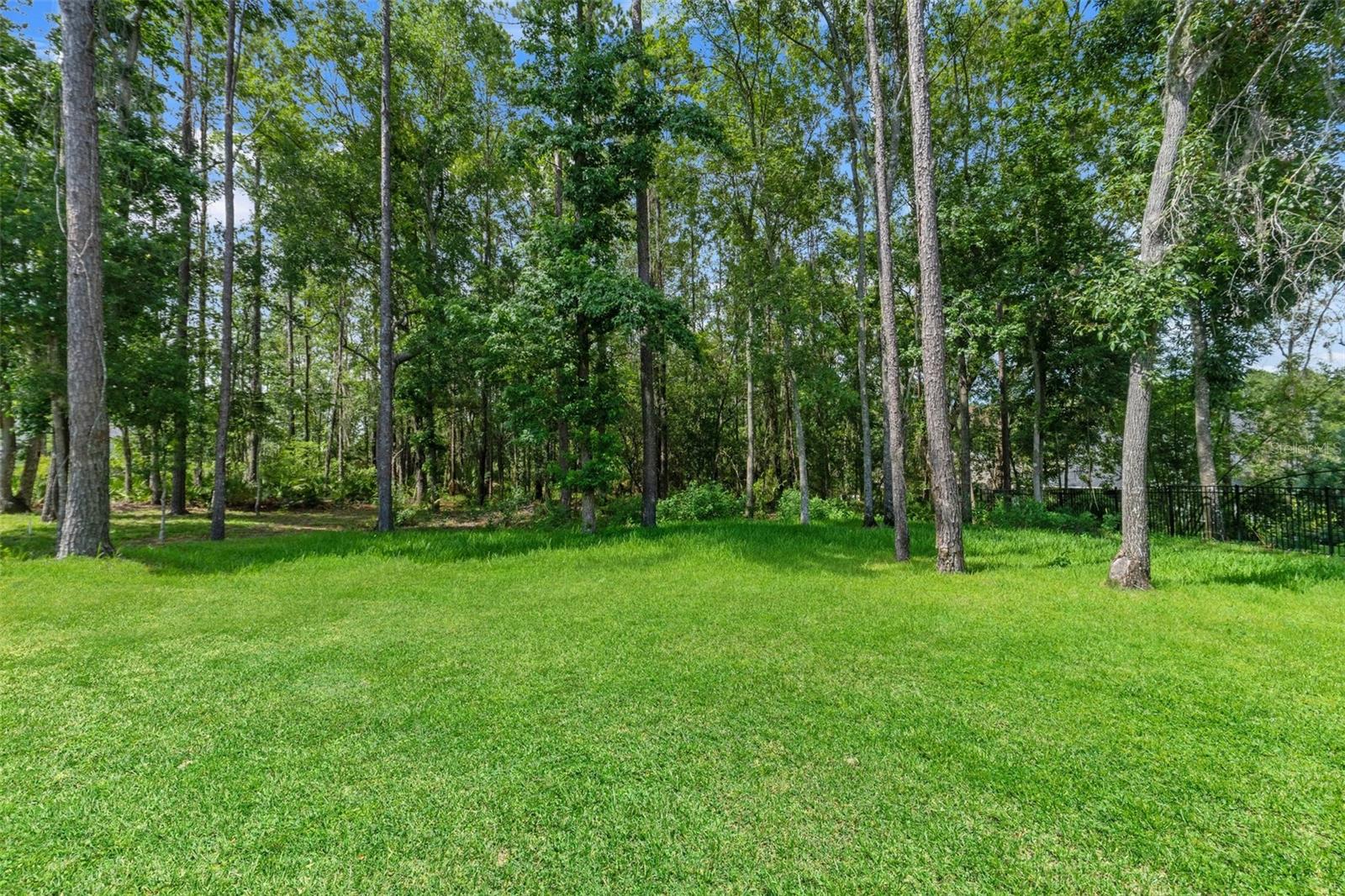 SOUTHERN HILLS PLANTATION PH 2 - Residential