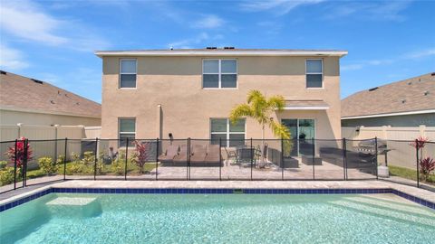 16762 SUNBURST LAKE STREET WIMAUMA FL 33598