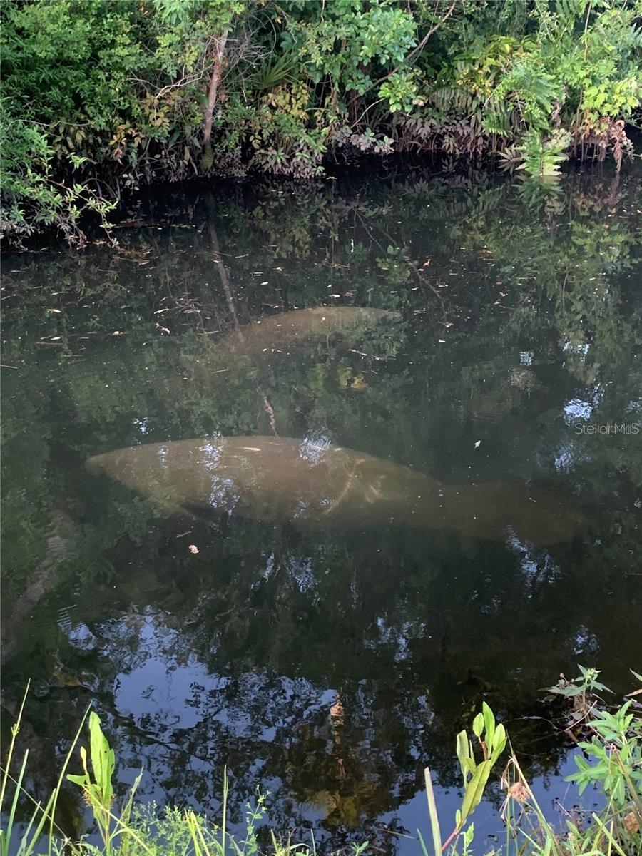 RIVERWALK PRESERVE - Residential