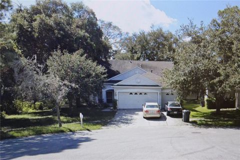 16111 STAGS LEAP DRIVE LUTZ FL 33559