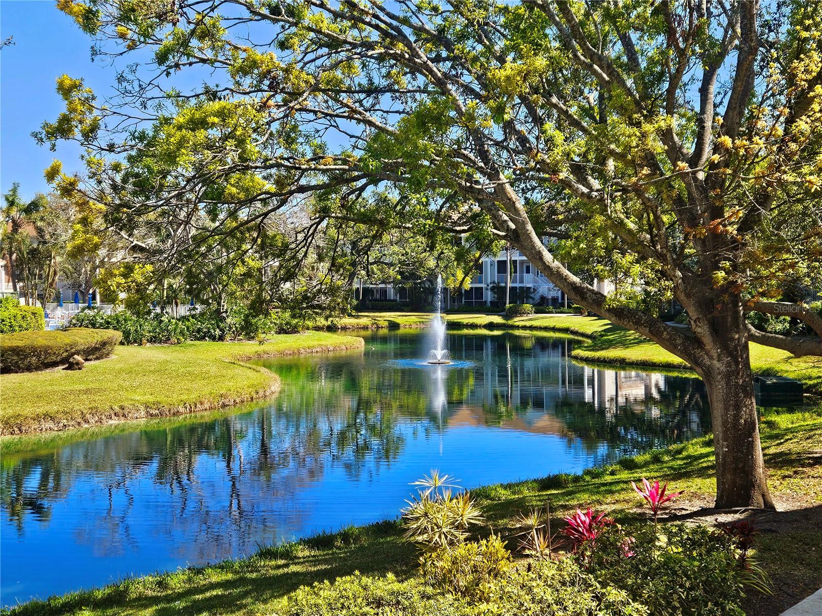 Central Park II is the best-kept secret in Sarasota real estate: Country club amenities, a peaceful environment, relatively low prices--and all across the street from the southern edge of the downtown core. This particular ground-floor condo is a one-bedroom/one-bathroom upgraded unit with stainless-steel appliances that is situated in one of the best locations within the community: You'd be looking out at the pond, with the pool and court on the other side. Publix is directly across the street and the Legacy Trail is behind it. Downtown and the bayfront are to the north--and Sarasota Memorial Hospital is a few blocks south. Your timing to buy couldn't be better. It's a buyer's market and prices are $75k-$150k lower than a few years ago. Central Park II is also a great place to rent a condo Savvy investors have had no trouble keeping their place leased. It's a stable community with healthy reserves, an active population and lots of clubs and committees if you're so inclined.