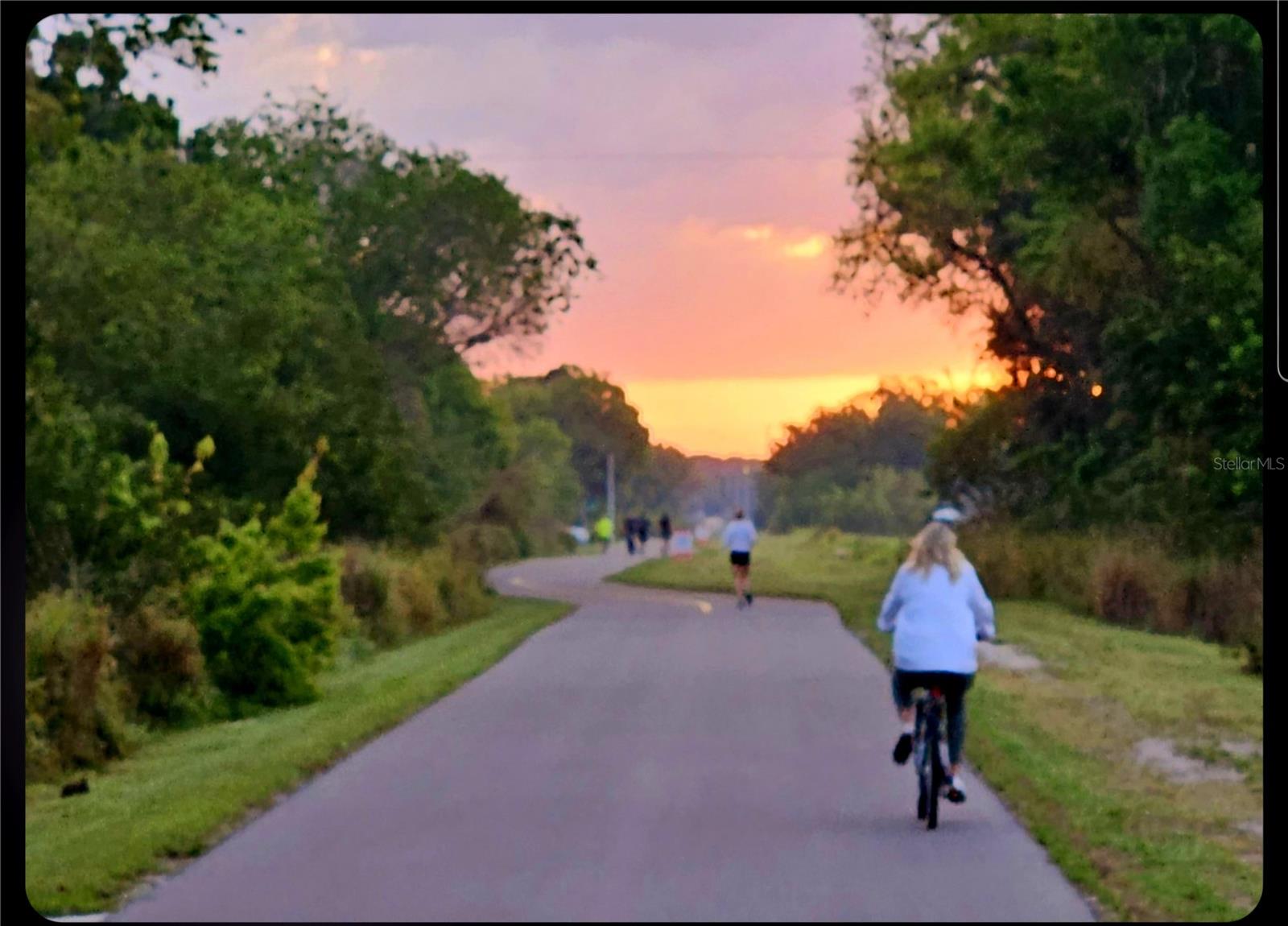 CENTRAL PARK SEC 2 PH 1 - Residential