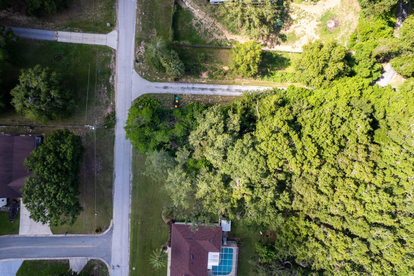 EUSTIS LAKE NETTIE COURT - Land