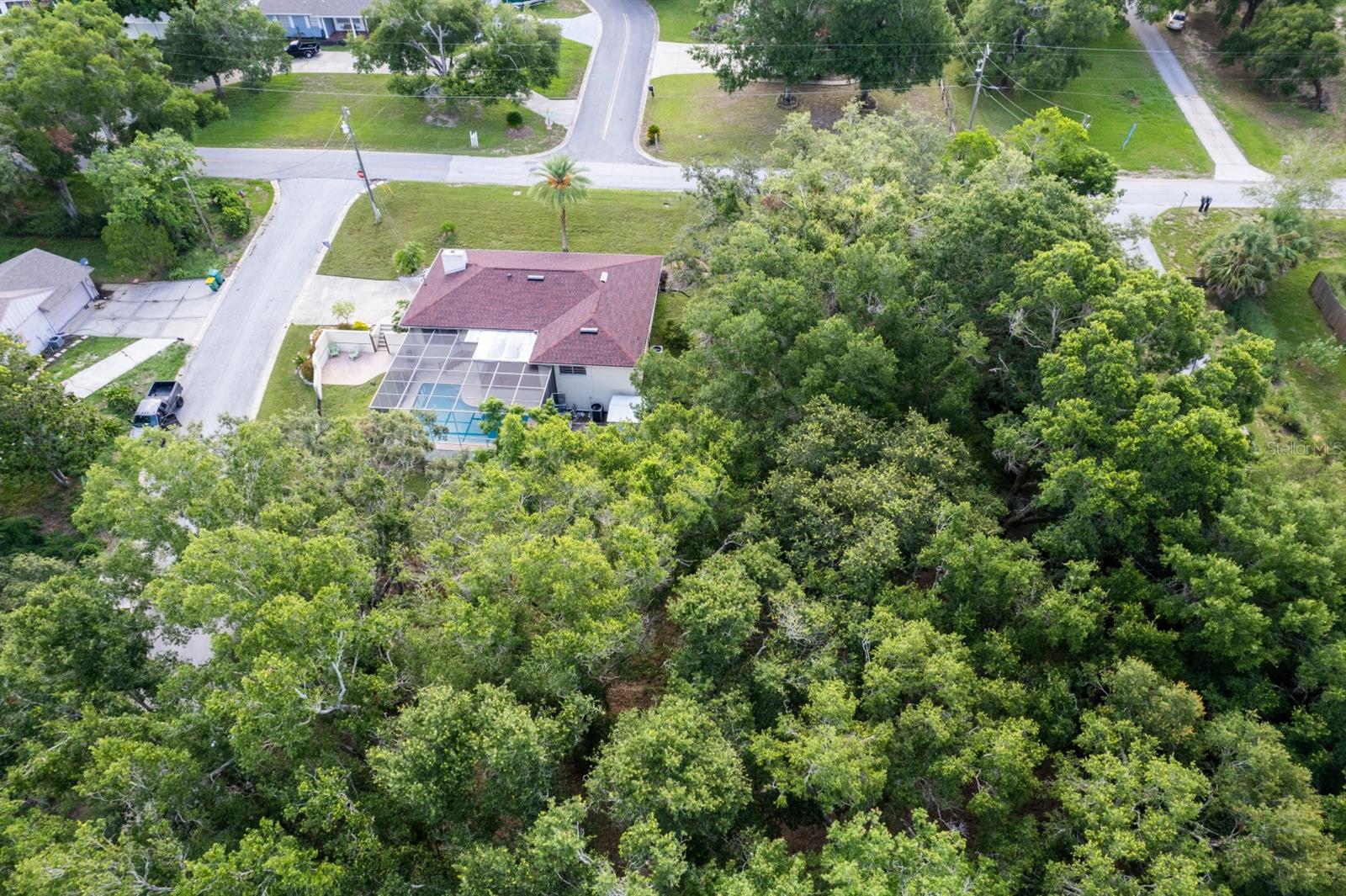 EUSTIS LAKE NETTIE COURT - Land