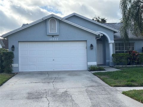 11222 CLAYRIDGE DRIVE TAMPA FL 33635