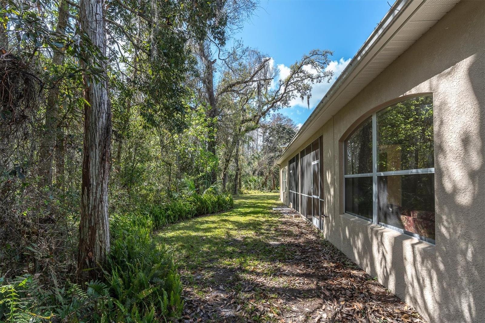 BRIAR PATCH VILLAGE 07 SPGS PH 02 - Residential