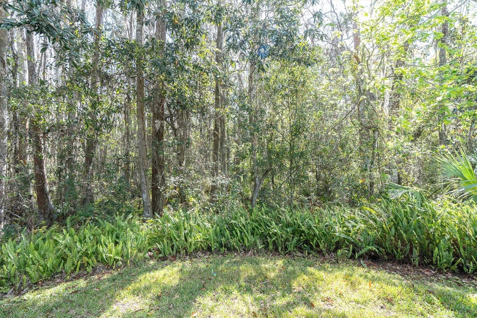 BRIAR PATCH VILLAGE 07 SPGS PH 02 - Residential