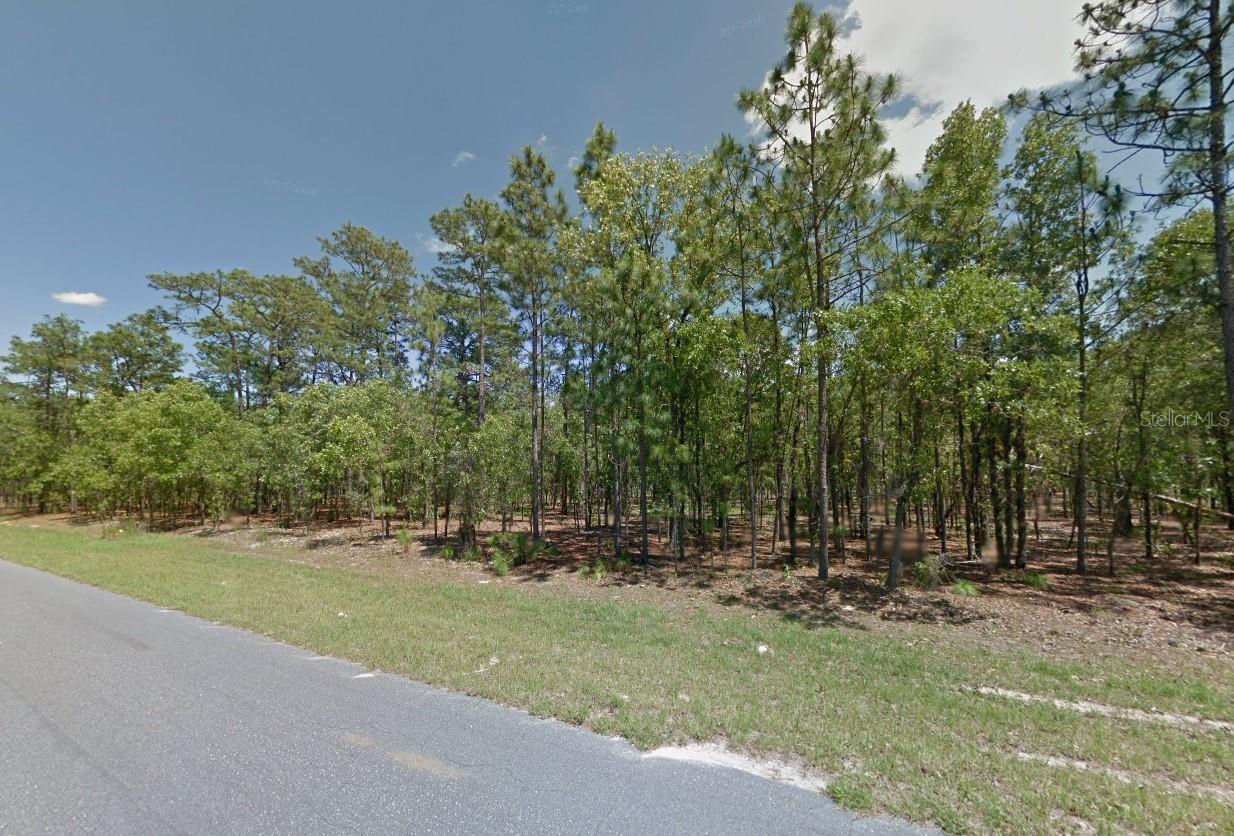 CITRUS SPGS UNIT 01 - Land