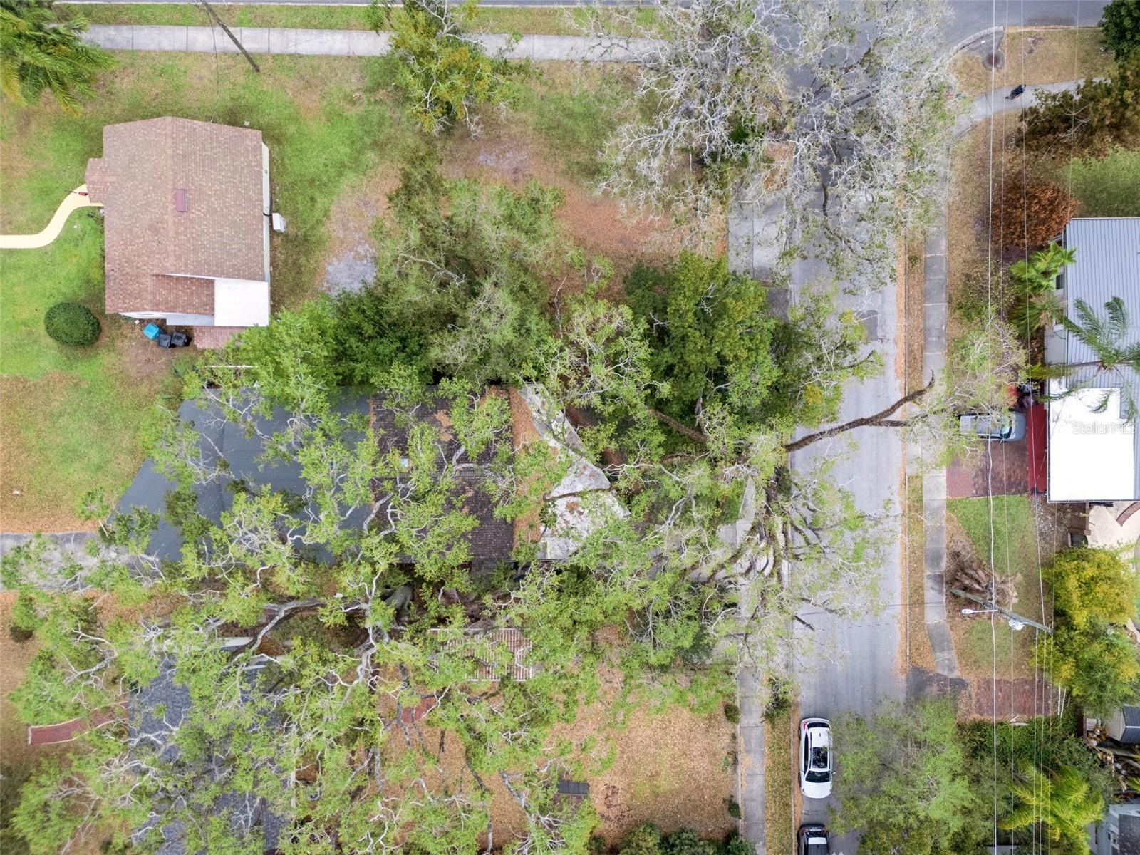 ANDERSON PARK - Residential