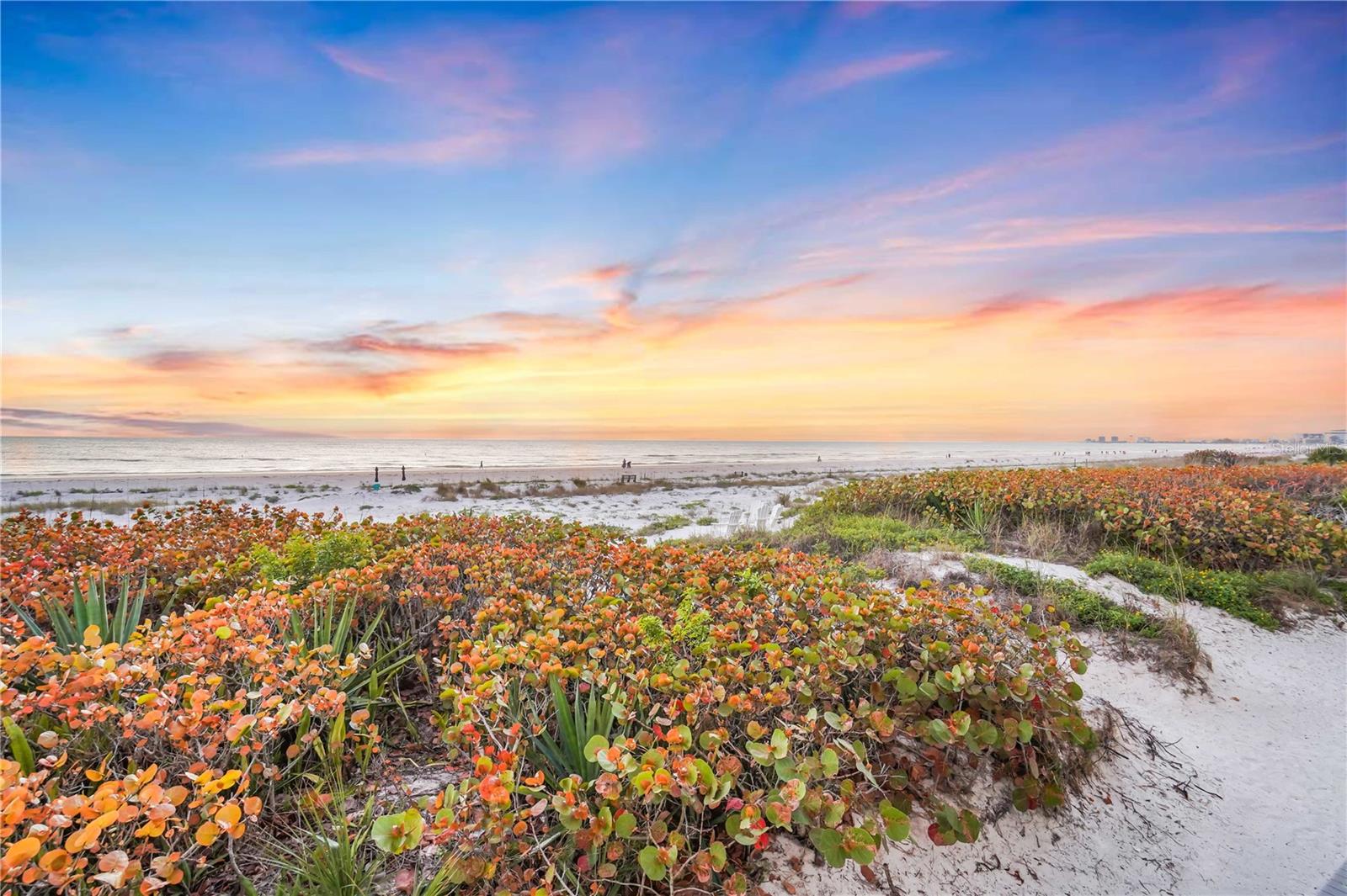 CASA PLAYA AT PASS-A-GRILLE - Residential