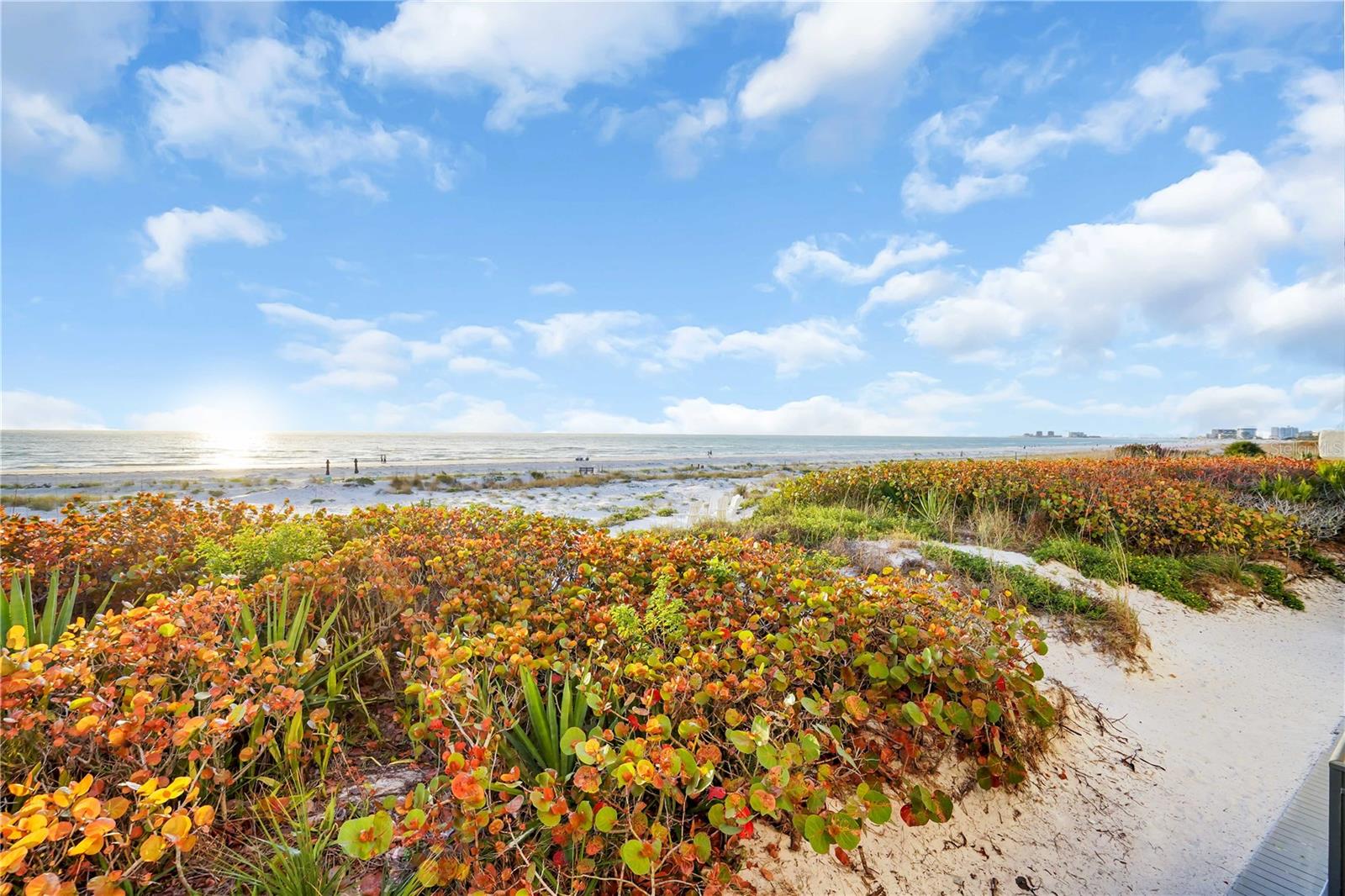 CASA PLAYA AT PASS-A-GRILLE - Residential