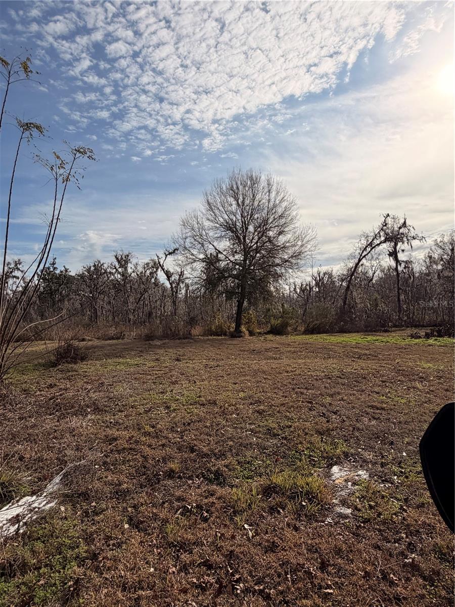 ACREAGE - Residential