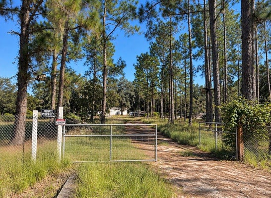 50 KELLY RIDGE RD, FROSTPROOF, FL 33843 - Image e250a25970da314fe82609cf2aed95c4/4028970757
