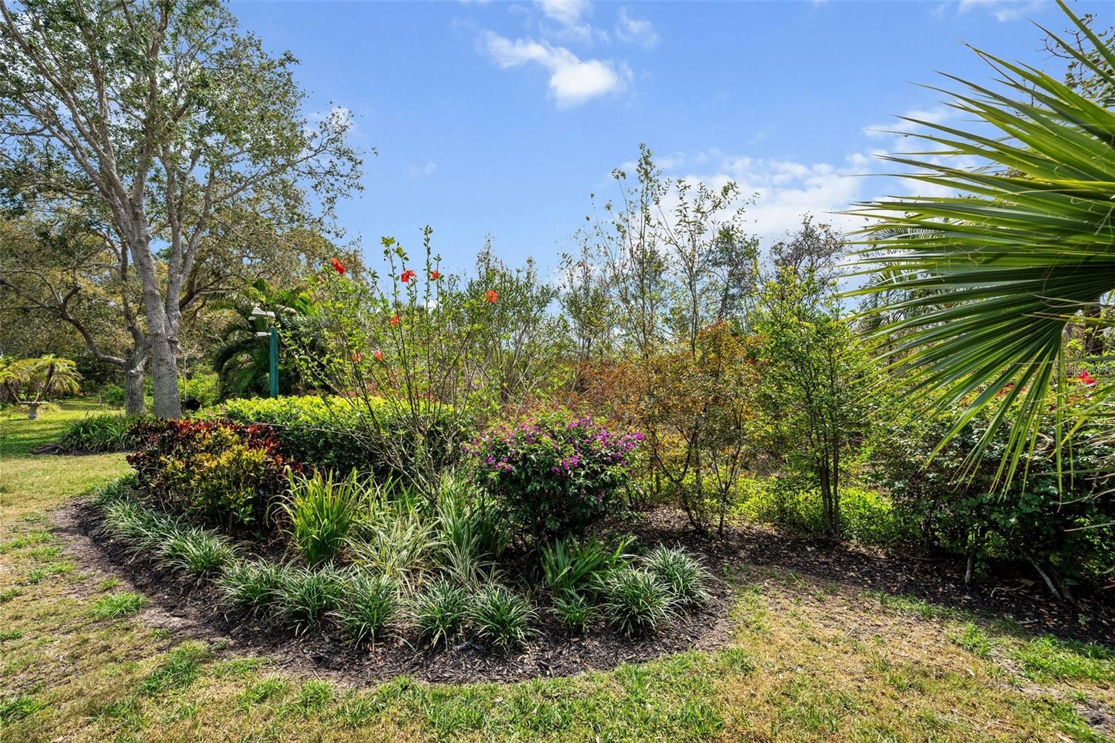 RIVENDELL THE WOODLANDS - Residential