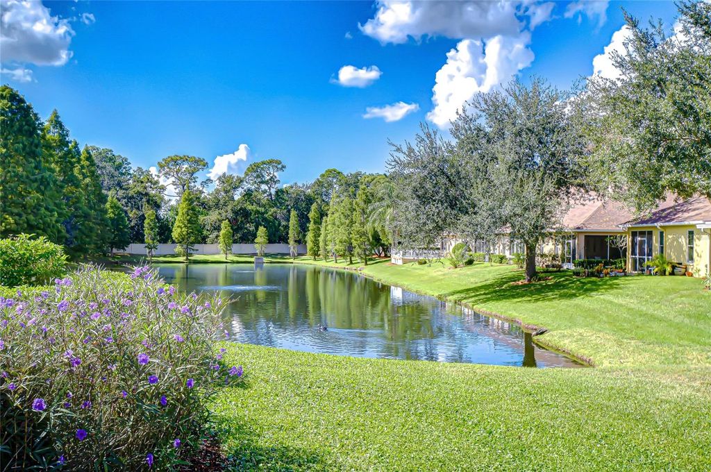 Photo of 3610 Savannah Lake Place, Valrico, FL 33596 (MLS # TB8439854)