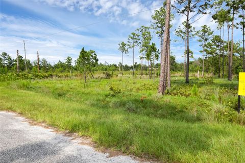 A home in EUSTIS