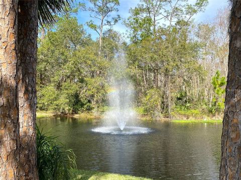 A home in KISSIMMEE