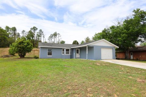 Photo of 420 Whitewing Circle, Minneola, FL 34715 (MLS # O6395508)