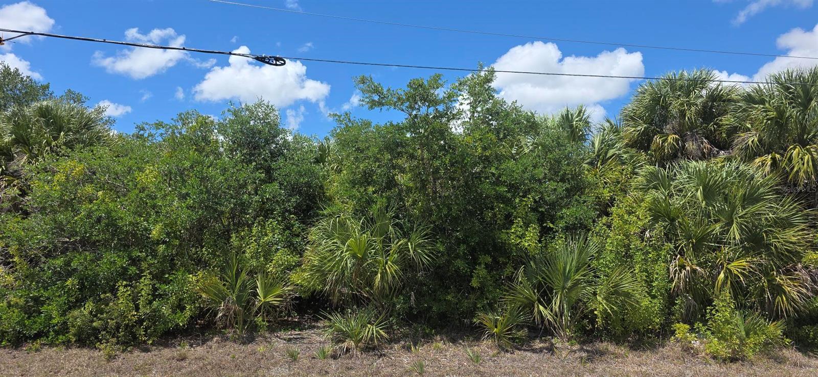 PORT CHARLOTTE SEC 095 - Land