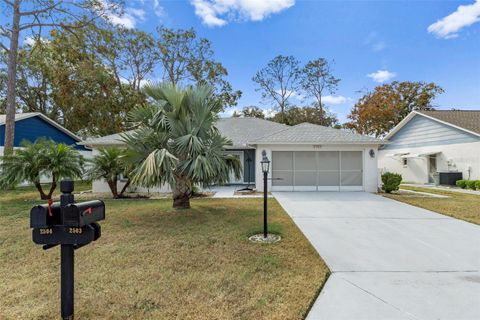 A home in SPRING HILL