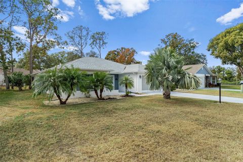 A home in SPRING HILL